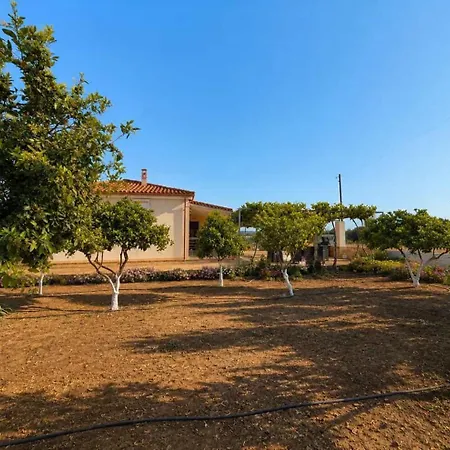 Vasiliki's Dhimitra (Elis)