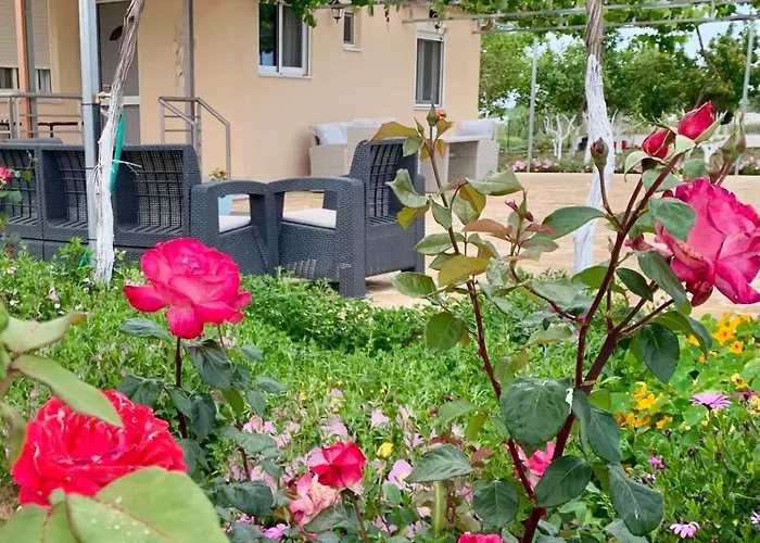 Vasiliki's * Dhimitra (Elis)