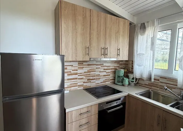 Vasiliki's * Dhimitra (Elis)