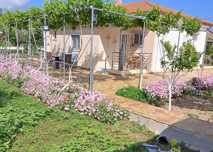 Apartment Vasiliki's Dhimitra (Elis)