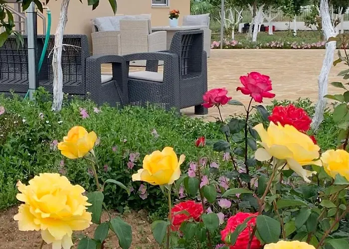 Vasiliki's Διαμέρισμα